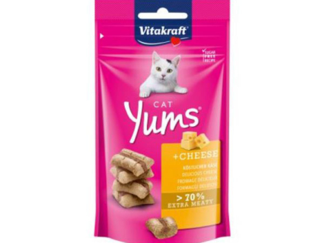 45628821_YUMS-QUESO-40G.jpg