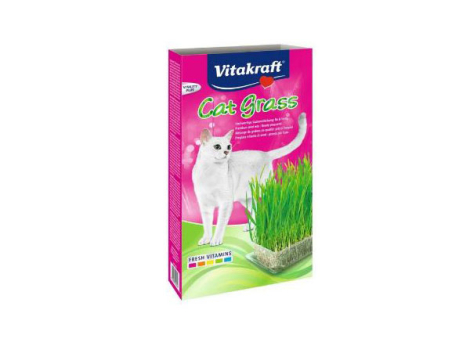 45724031_CAT-GRASS-HIERBA-PARA-GATOS-120G.jpg