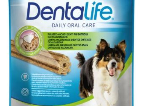 73001040_Dentalife-Medium-115g-5uni.jpg