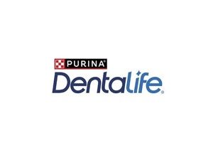 dentalife