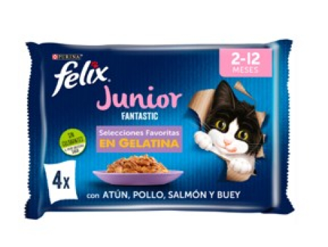 72005010_Felix Fantastic Junior 4x85g cara
