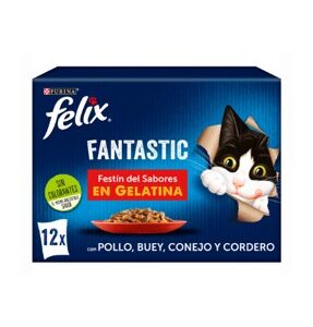 FELIX FANTASTIC FESTÍN DE CARNES 12x85g