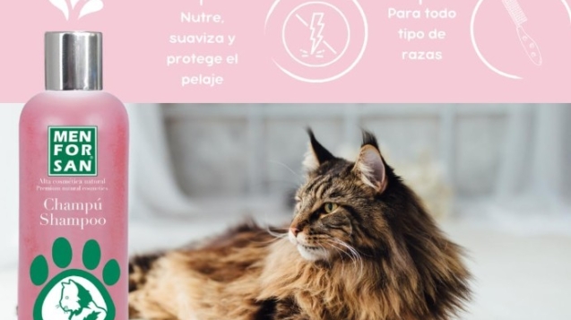 champú muy suave para gatos